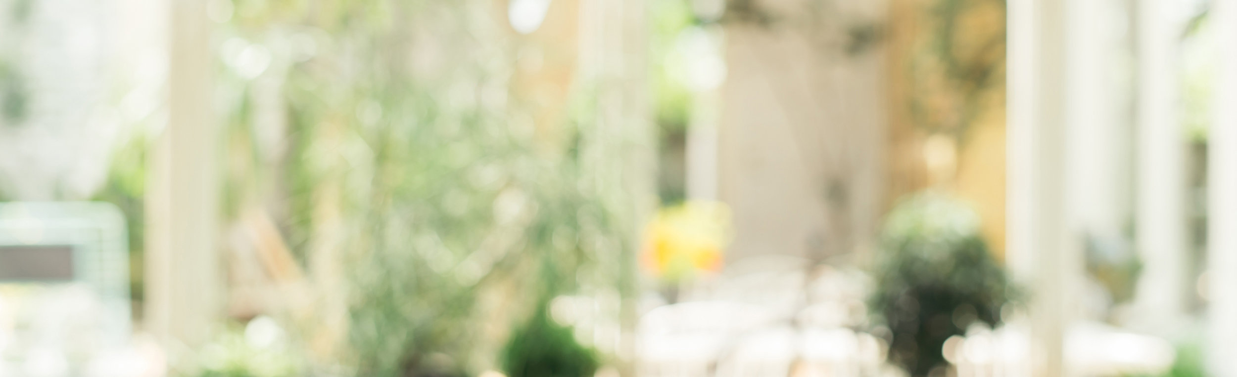 January "Hot"  Booking Offer 